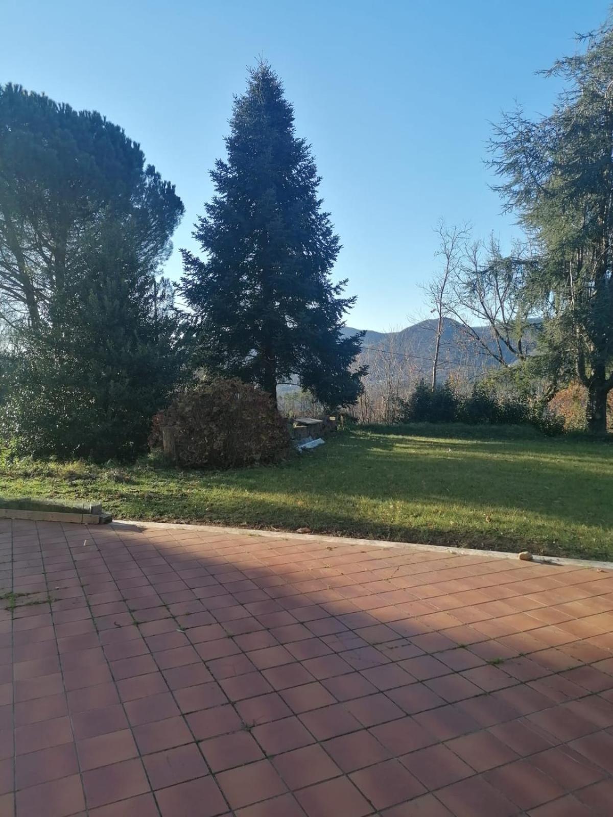 Le Camelie Vila Polverara Exterior foto